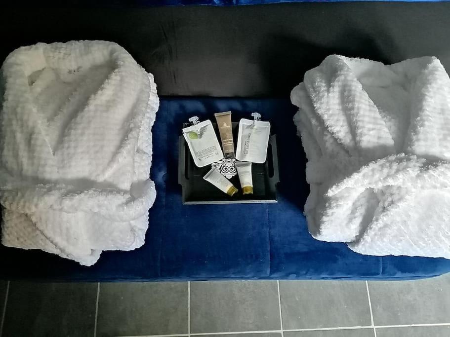 Appartement Avec Sauna Et Balneo Privatifs -Troyes Centre Bagian luar foto